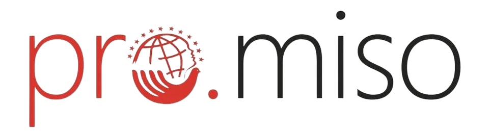 pro.miso-Logo-removebg-preview
